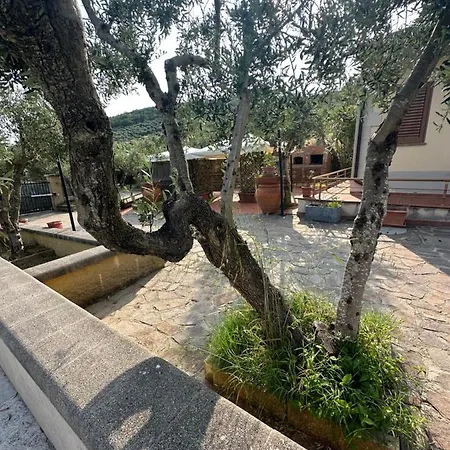 Casale Degli Ulivi