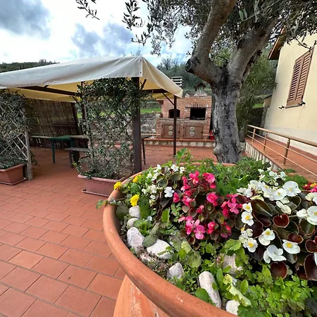 度假居 Casale Degli Ulivi