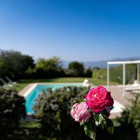 Casale Degli Ulivi Villa *