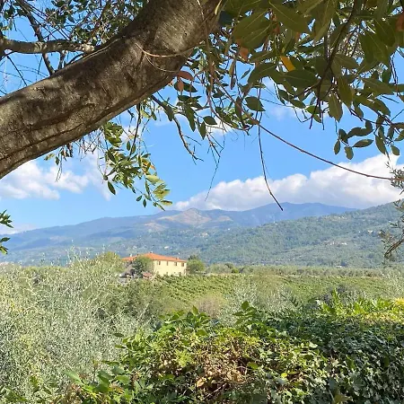 Casale Degli Ulivi Reggello