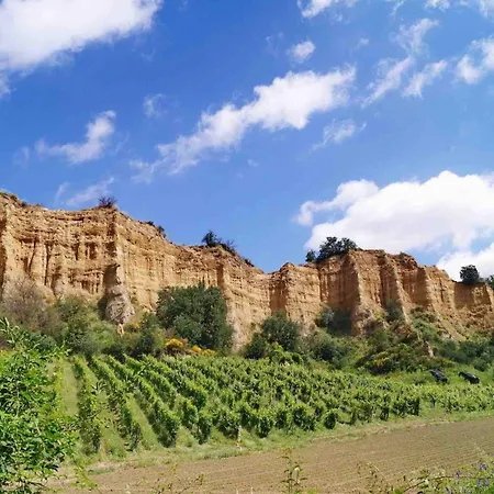 Casale Degli Ulivi וילה